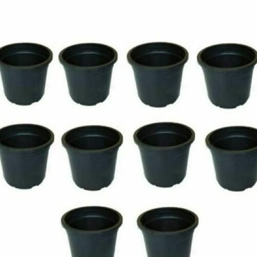 Gardning Black Pot 4″ (Set of 10 nos)