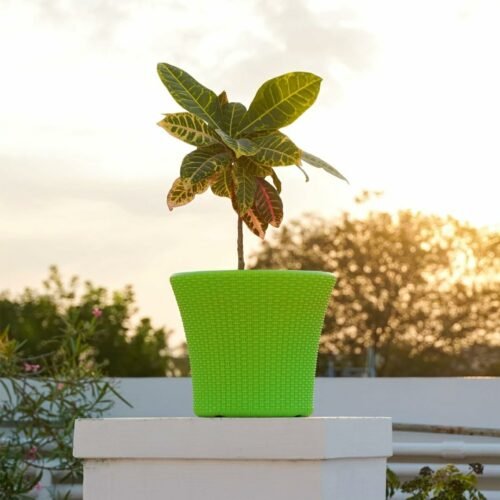 11 Inch Self Watering Snow Pot-Gamla Planter Pot-High Density Polyethylene Plastic Flower Pot-Modern Decorative Planter for Indoor-Outdoor-Balcony-Garden-Livingroom-Home-Green(Pack of 5)