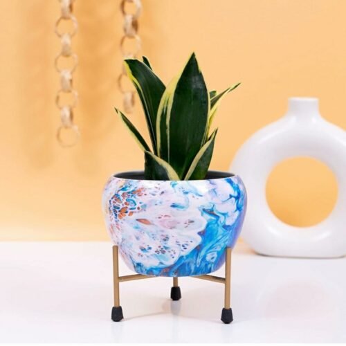 Gallery Designer Indoor Plant Pots with Stand – Table Top Decorative Metal Plant Pots for Living Room, Balcony and Garden (Multicolour)