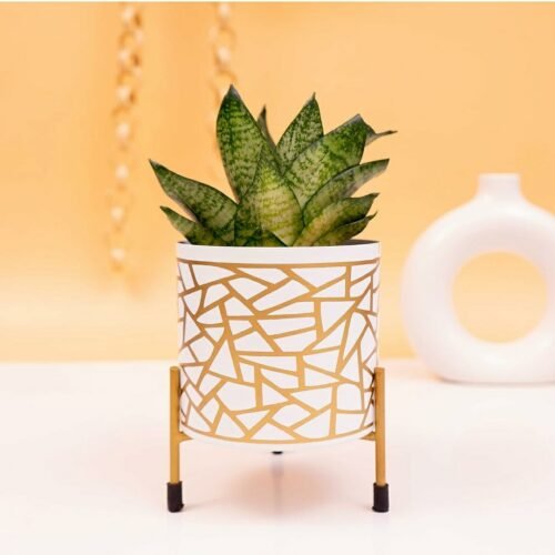 Exotic Adorable White, Metal Cylindrical Pots & Planters