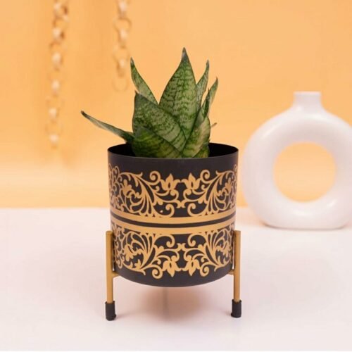 Exotic Adorable Golden, Metal Cylindrical Pots & Planters