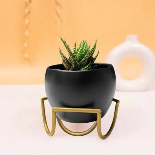 SOLID 3.5″ APPLE MINIATURE POT WITH STAND