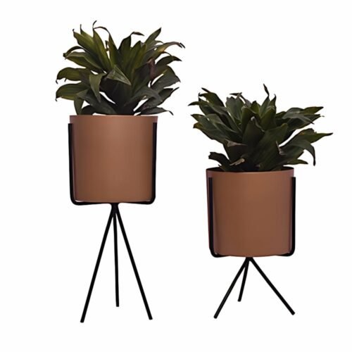 Cyclyndrical Planter( Set of 2)