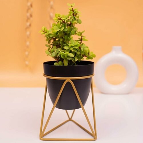 Black Triangular, Metal Oblong Pots & Planters Pack of 1