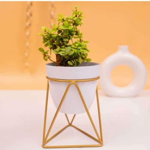 White Triangular, Metal Oblong Pots & Planters Pack of 1