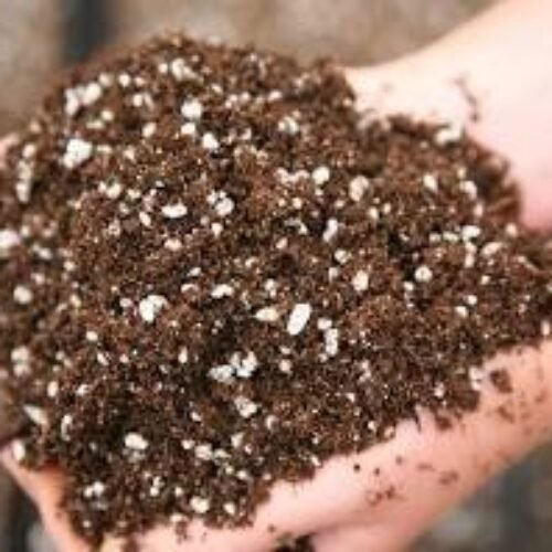 Soilless soil Mix richly nutrient packed ( 500gram pack)