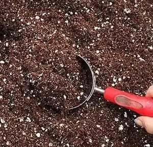 Soilless soil Mix richly nutrient packed ( pack of 1kg)